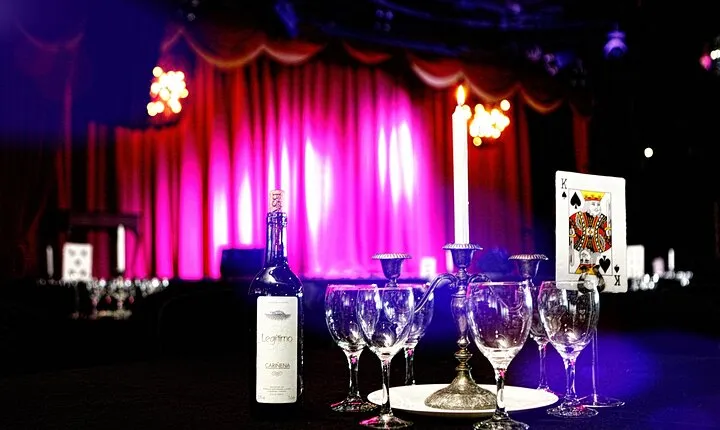 House of Illusion Magic Show with Drinks