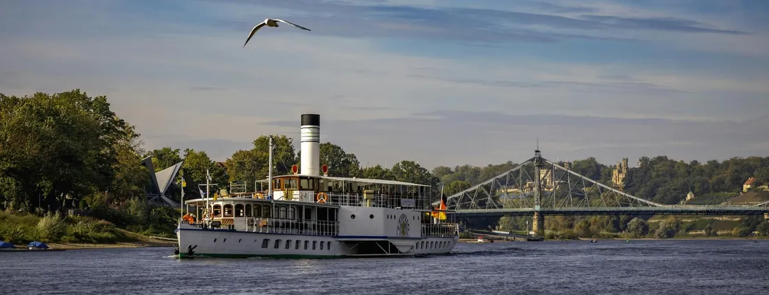 River sightseeing cruise in Dresden