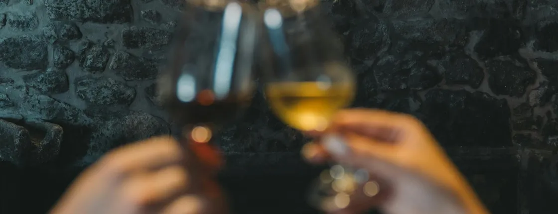 Port Wine Cellar Tour, Tasting and Fado Show at Fonseca