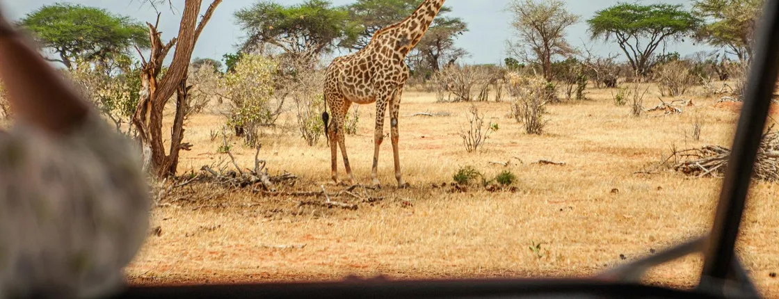 Three-day Masai Mara safari at Mara Engai Wilderness Lodge