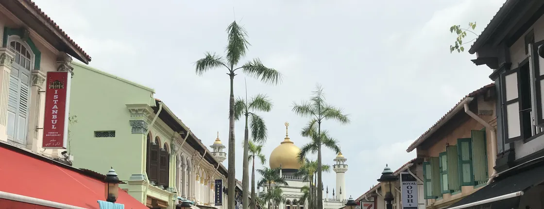 Historical Singapore bicycle tour