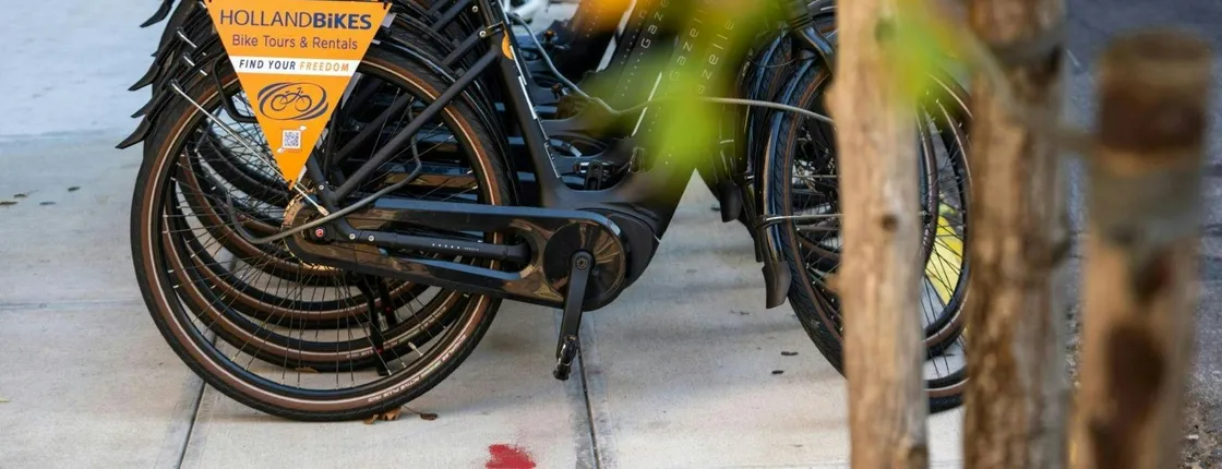 Central Park electric Dutch bike rental experience