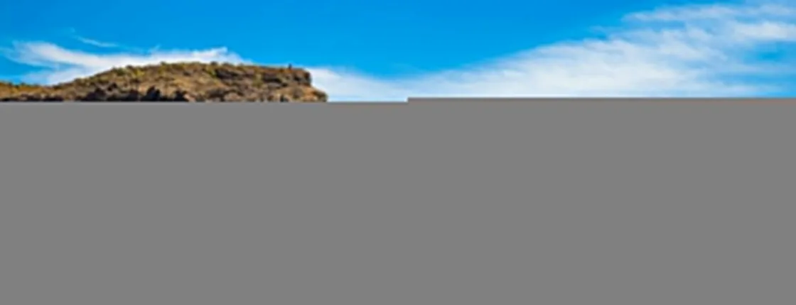 From Las Palmas: Full day tour of southern Gran Canaria