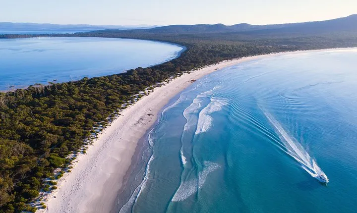 Maria Island Cruise and Guided Walk Day Tour with Lunch and Drinks