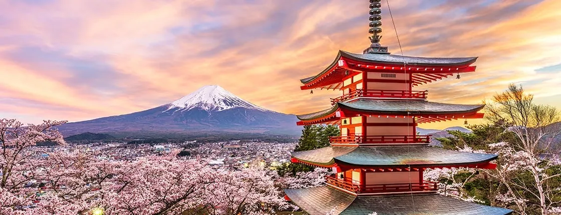 Tour to Mt. Fuji Area, Oshino Hakkai and Kawaguchi Lake from Tokyo