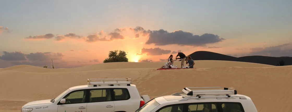 4x4 sunrise and wildlife desert safari with picnic from Dubai