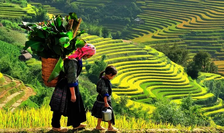 Hanoi to Sapa 2 days 1 night by bus
