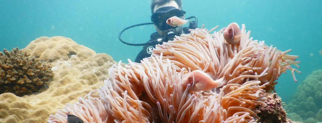 Southern Phu Quoc scuba diving experience