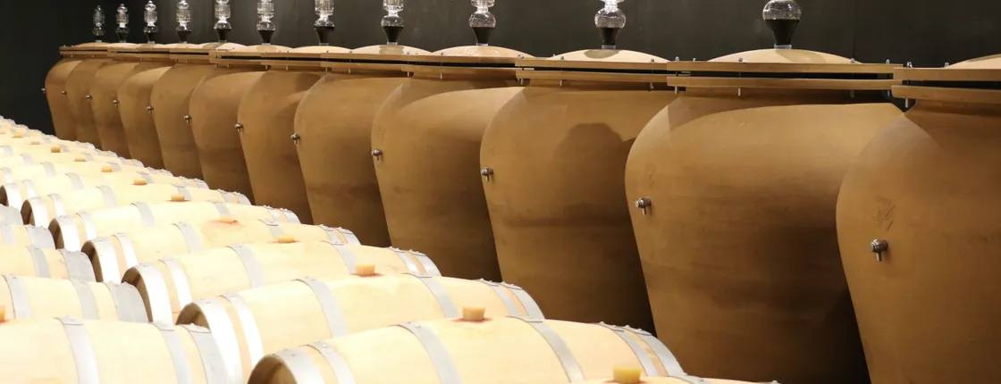 Premium tour with wine tasting at Château Réaut