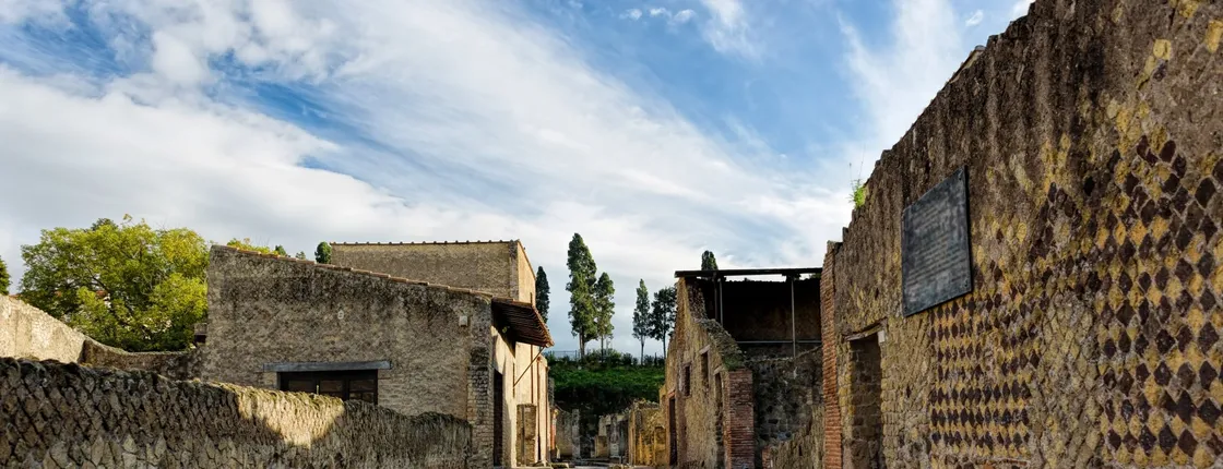 Vesuvius and Herculaneum transfer and entrance tickets from Pompeii