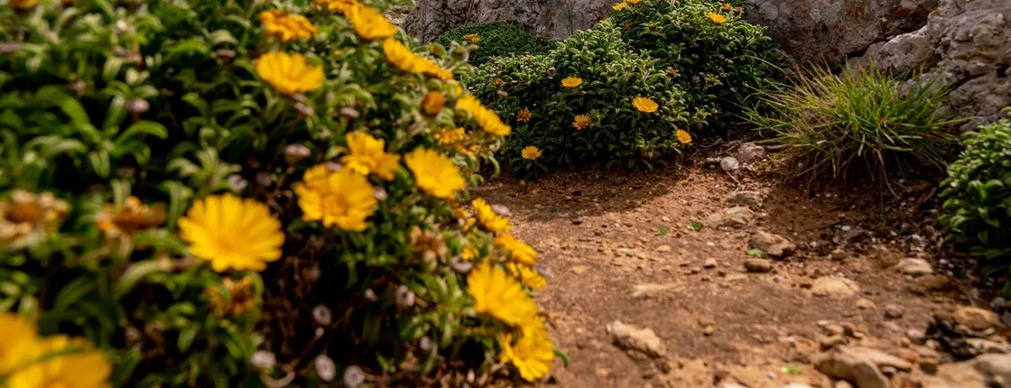 4x4 off-road half-day guided tour with wine tasting from Albufeira