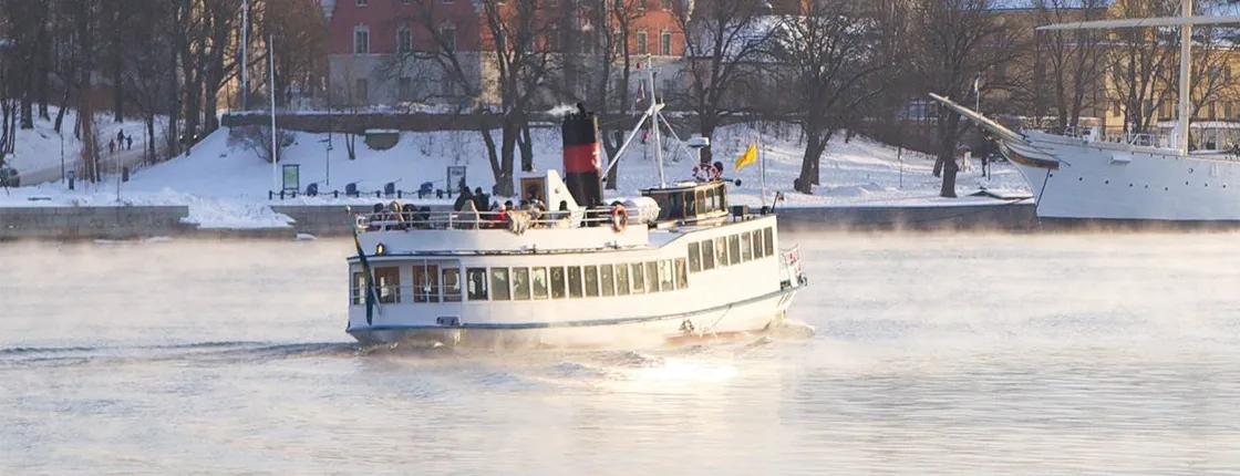 Stockholm Archipelago Winter Boat Tour with Guide