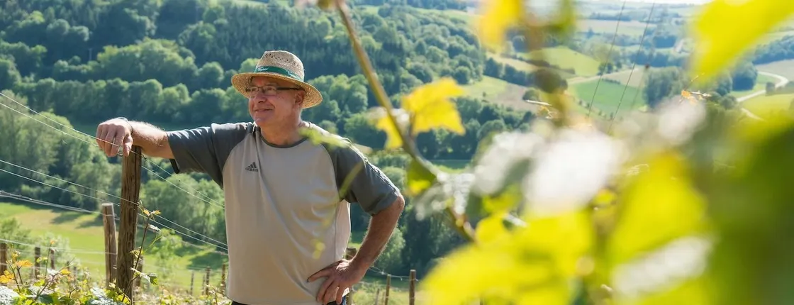 Romantic Road day trip with wine tasting from Frankfurt