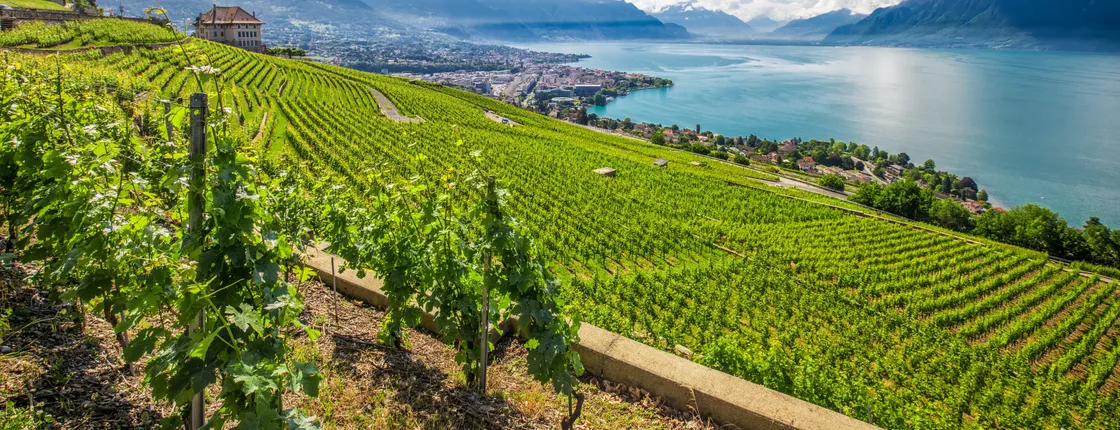 Glacier 3000 and Montreux bus day trip from Lausanne
