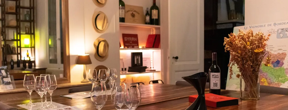 Full-day wine discovery tour in Saint-Emilion