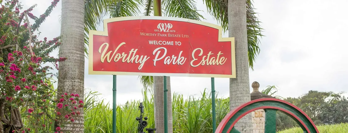Adults‑only Worthy Park Estate rum tour