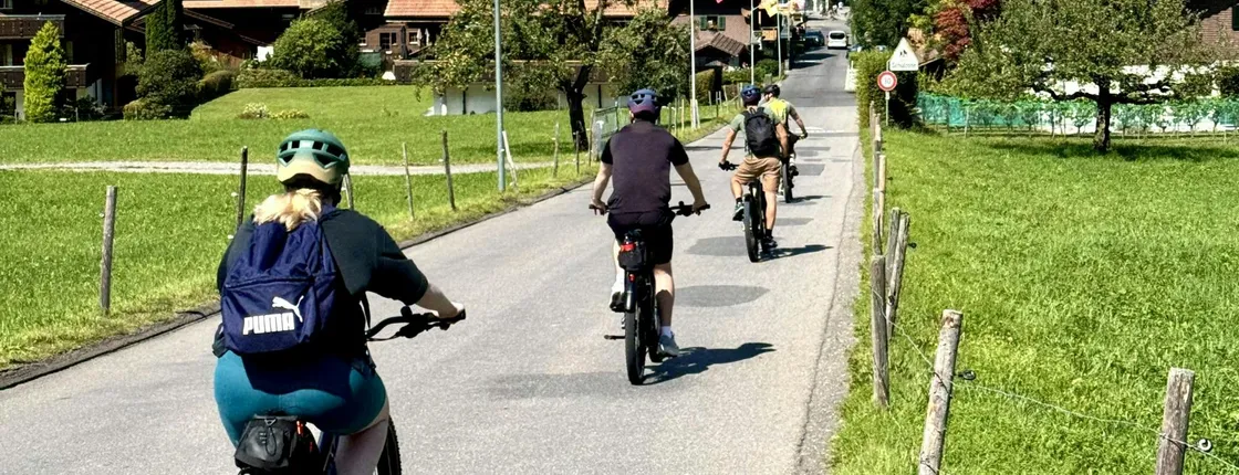 Half-day electric bike tour to Iseltwald and Giessbach
