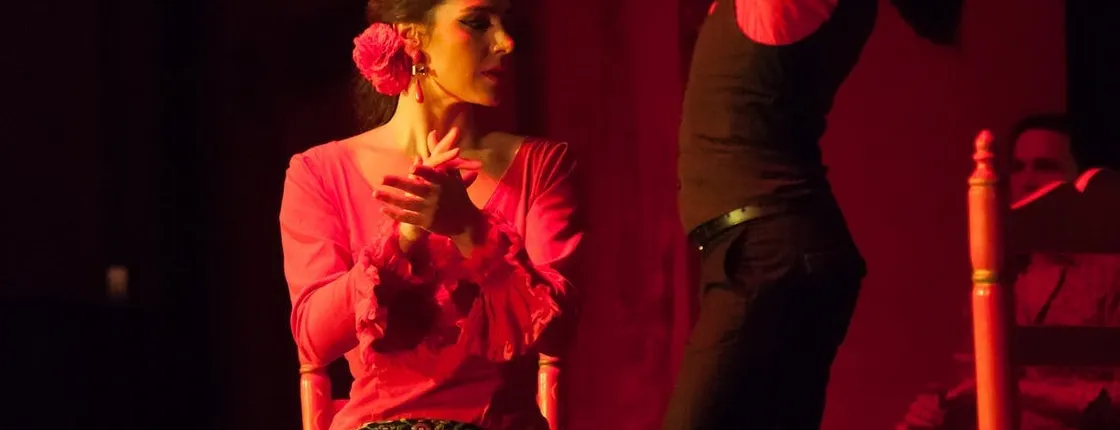 Flamenco Show entrance tickets at El Palacio Andaluz