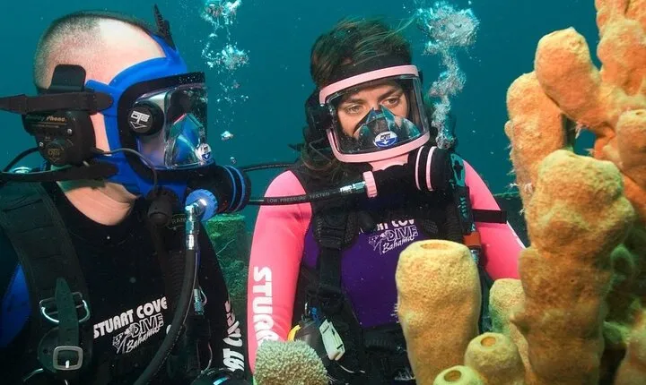 Discover Scuba Diving Full Mask