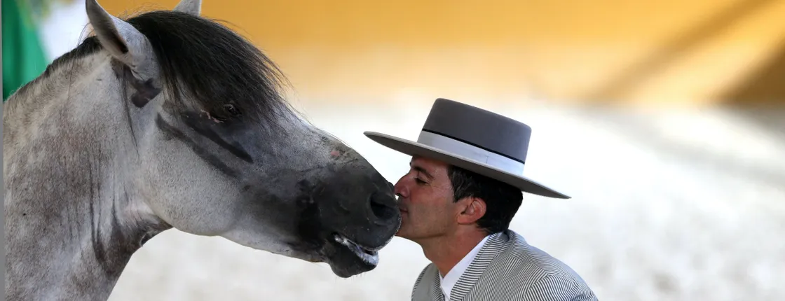 El Ranchito and Andalusian Night