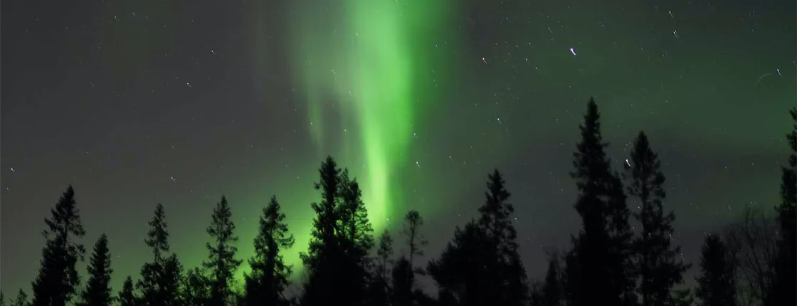 Northern Lights snowshoe nature walk