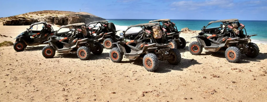 Southern Boa Vista four-hour buggy tour