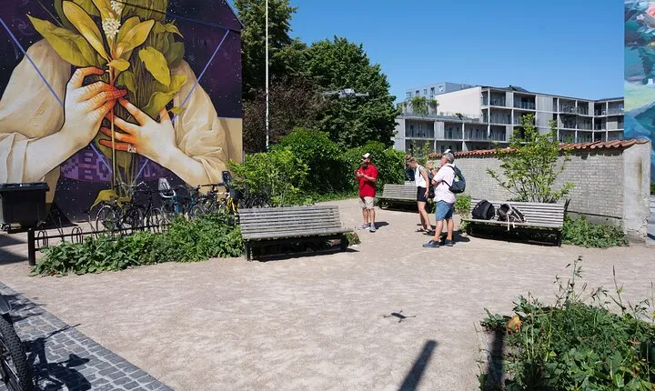 3-Hours Street Art Tour in Aalborg