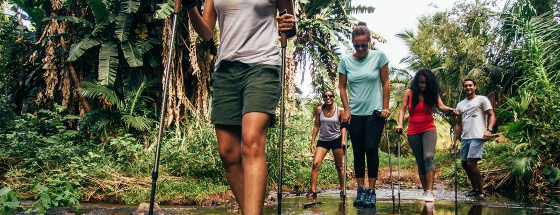 Mauritius waterfall trekking at Bel Ombre Nature Reserve