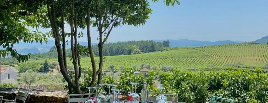 Full-day wine tour of Douro Valley