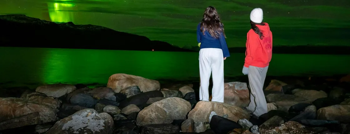 Guided Northern Lights tour from Tromsø with local experts