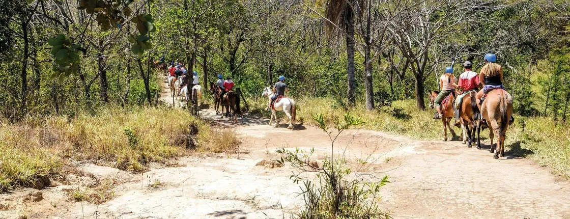 Buena Vista del Rincon Waterfall Horseback Ride