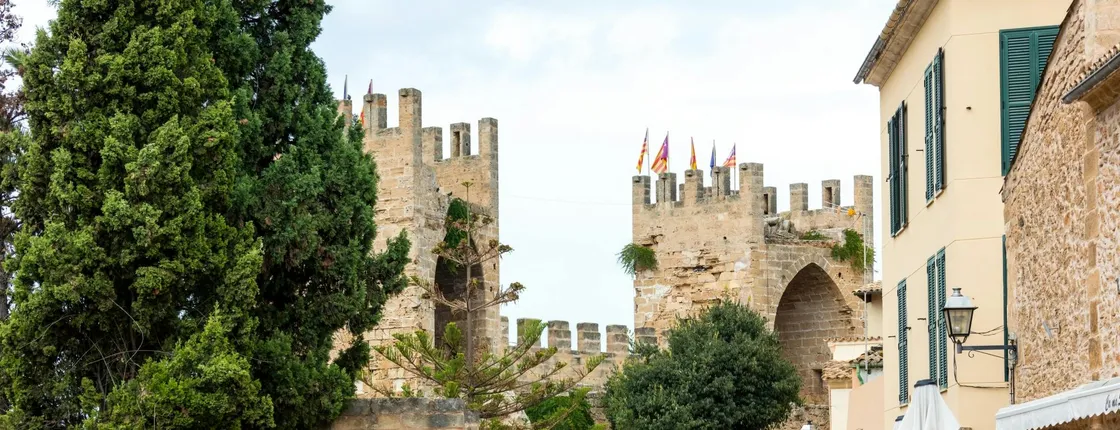 Alcudia and Bodega Butxet tasting tour
