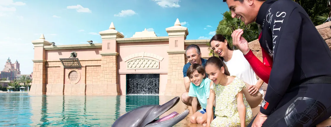 Dolphin meet and greet at Atlantis Dubai