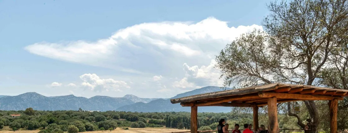 Winery with Tasting in Dorgali