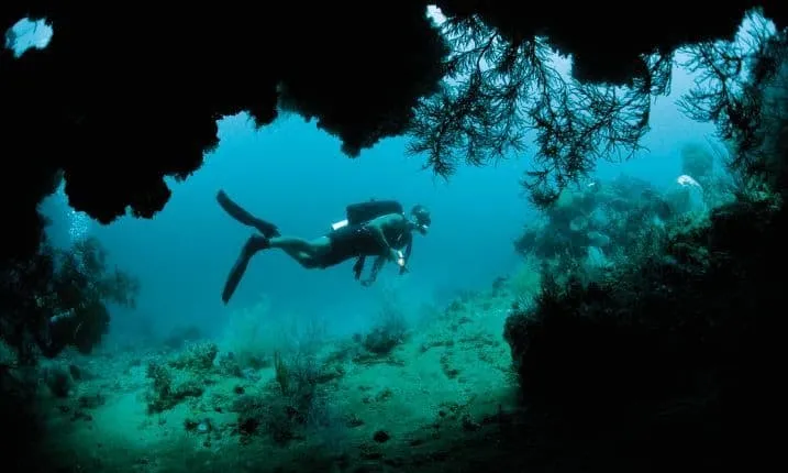 Two Tank Scuba Diving at Marietas Island