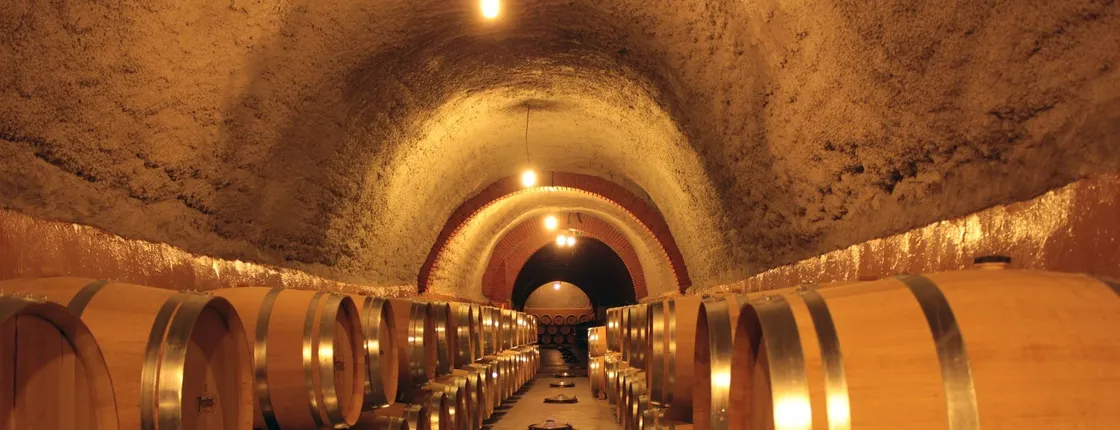 Wine experience with castles, medieval cities or cathedrals guided tour from Madrid