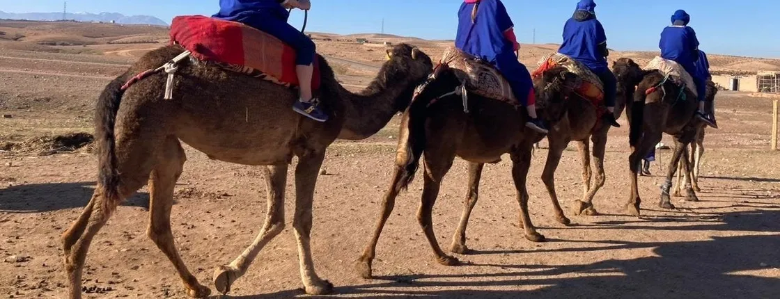 Agafay Desert tour with camel ride, dinner and live music