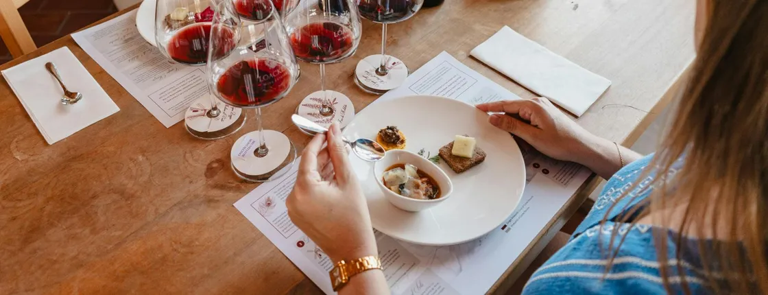 Guided Winery Tour and Gourmet Tasting in Montalcino