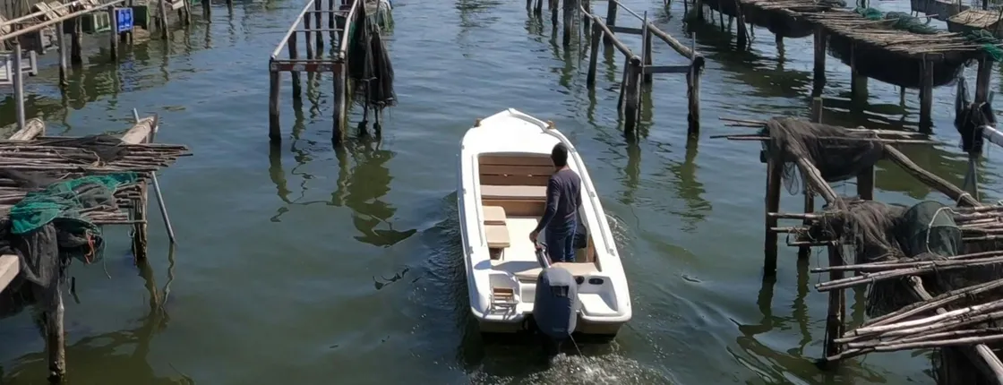 Sustainable Aquaculture Boat Tour in Chioggia's Lagoon