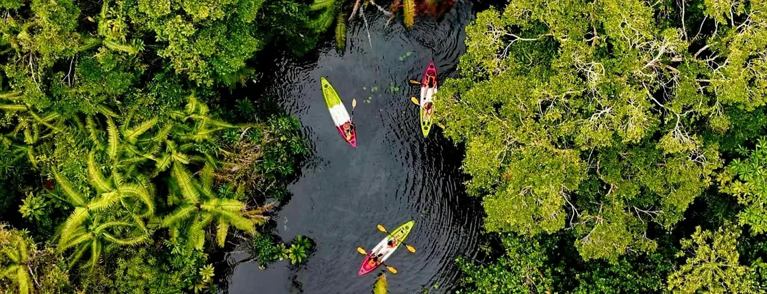 Klong Root kayak, batik class, rubber tapping and pineapple farm tour