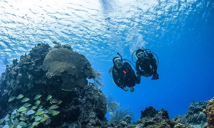 Fujairah: PADI Open Water Diver Course 