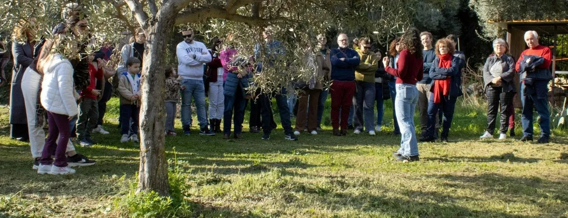 Organic Sicilian honey tasting and beekeeping tour