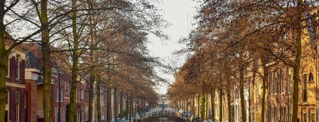 Self-guided Discovery Walk in Delft secret alleys and blue ceramics