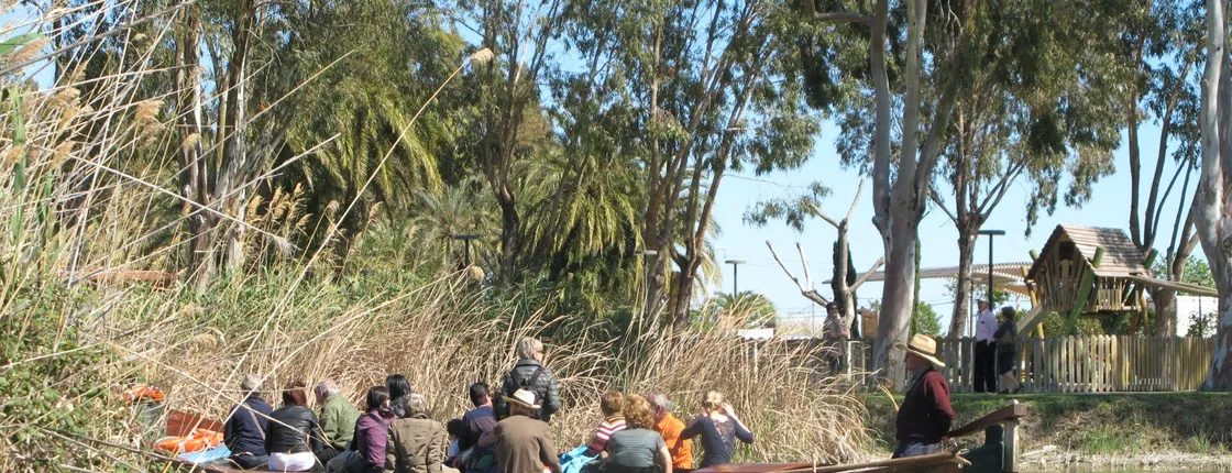 Valencia: Albufera Natural Park Tour with Boat Ride and Panoramic Bus