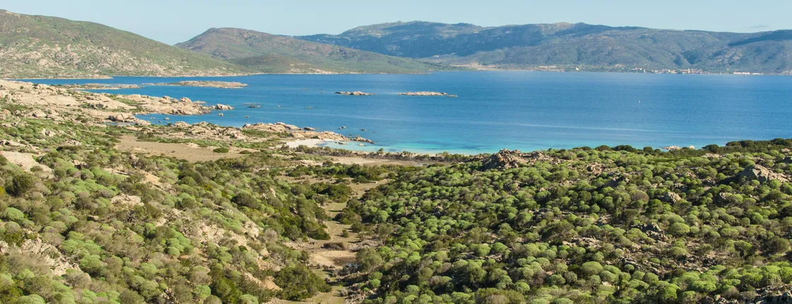 Full-day Asinara National Park tour