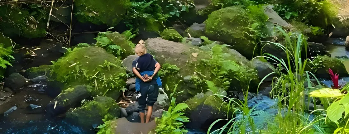 Full-day tour of rice fields, waterfalls and monkeys in Tetebatu