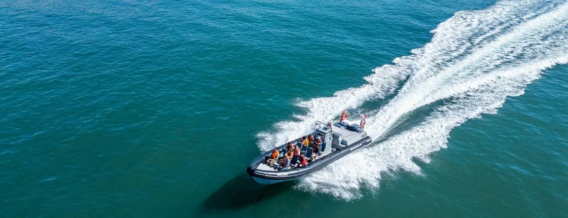 Albufeira dolphins and Benagil caves RIB boat tour