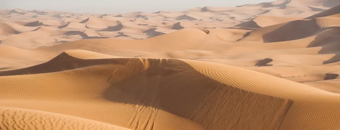 Dubai morning desert safari with camel ride