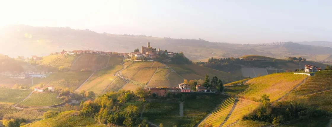 Barolo and La Morra day trip with wine cathedrals and tasting