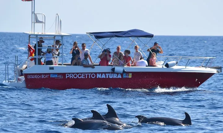 Alghero - Dolphin Watching and Guided Snorkeling (summer tour)